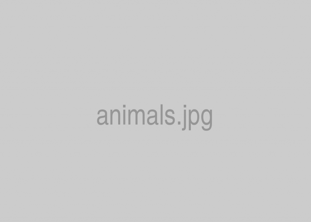 Animals